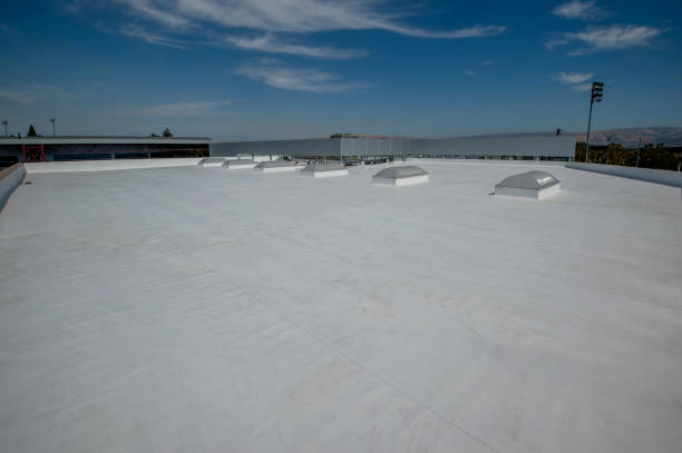 Best 4 Ply Roofing  in Lake Lakengren, OH