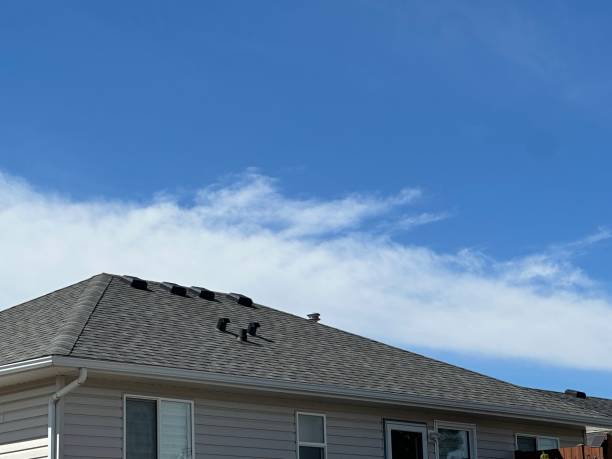 Best Roof Coating and Sealing  in Lake Lakengren, OH